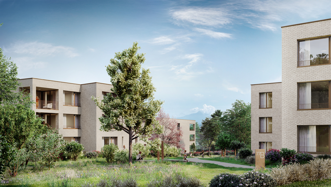 V77 (Vandoeuvres 77) - Image 3